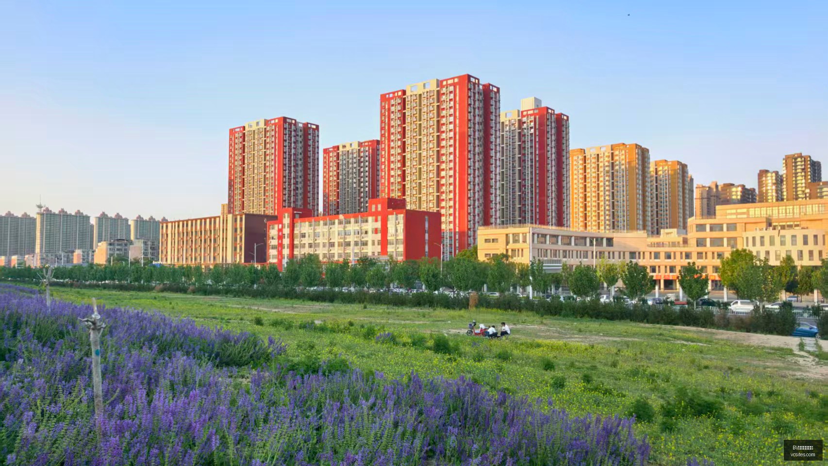 亚冠赛事解,三连冠潜力,分析,BV伟德官方网站,伟德体育,BV伟德,官方网站,体育投注